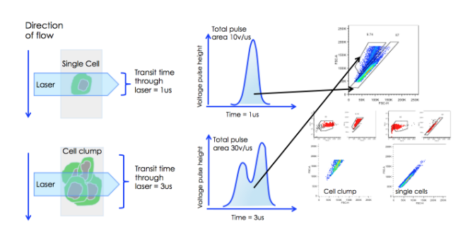 How To Compare Flow Cytometry Data